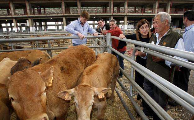 El PP se compromete con los ganaderos frente a «abandono y maltrato» de PRC-PSOE