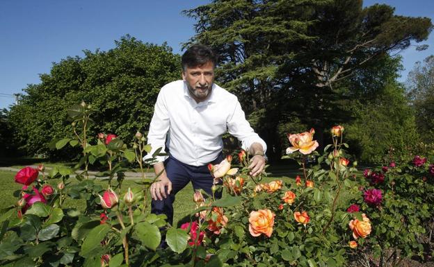 Los rosales del jardín de Cristóbal Palacio, en su casa de Polanco, que poda y cuida a diario. 