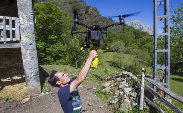 Roberto Abascal, ganadero del Asón, es el primero en recurrir a un dron para geolocalizar y hacer seguimiento de sus reses. 