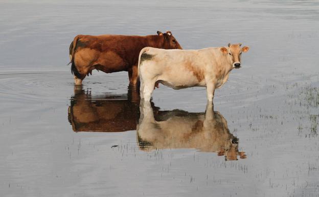 El Pantano del Ebro, a casi el 95% de capacidad