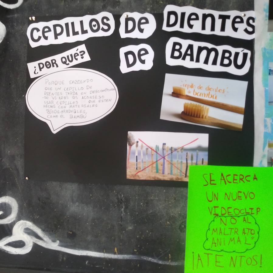 El CEIP Benedicto Ruíz ha impulso la conciencia animalista con diferentes actividades entre su alumnado