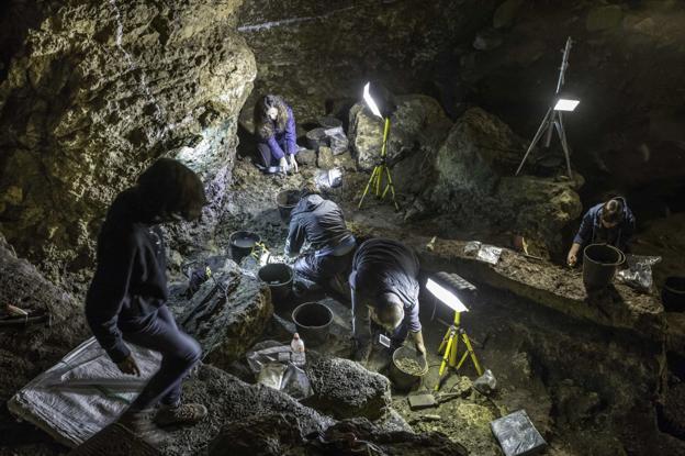 Uno de los cursos enseñará a clasificar los restos óseos hallados en el cueva de El Pendo. :: roberto ruiz