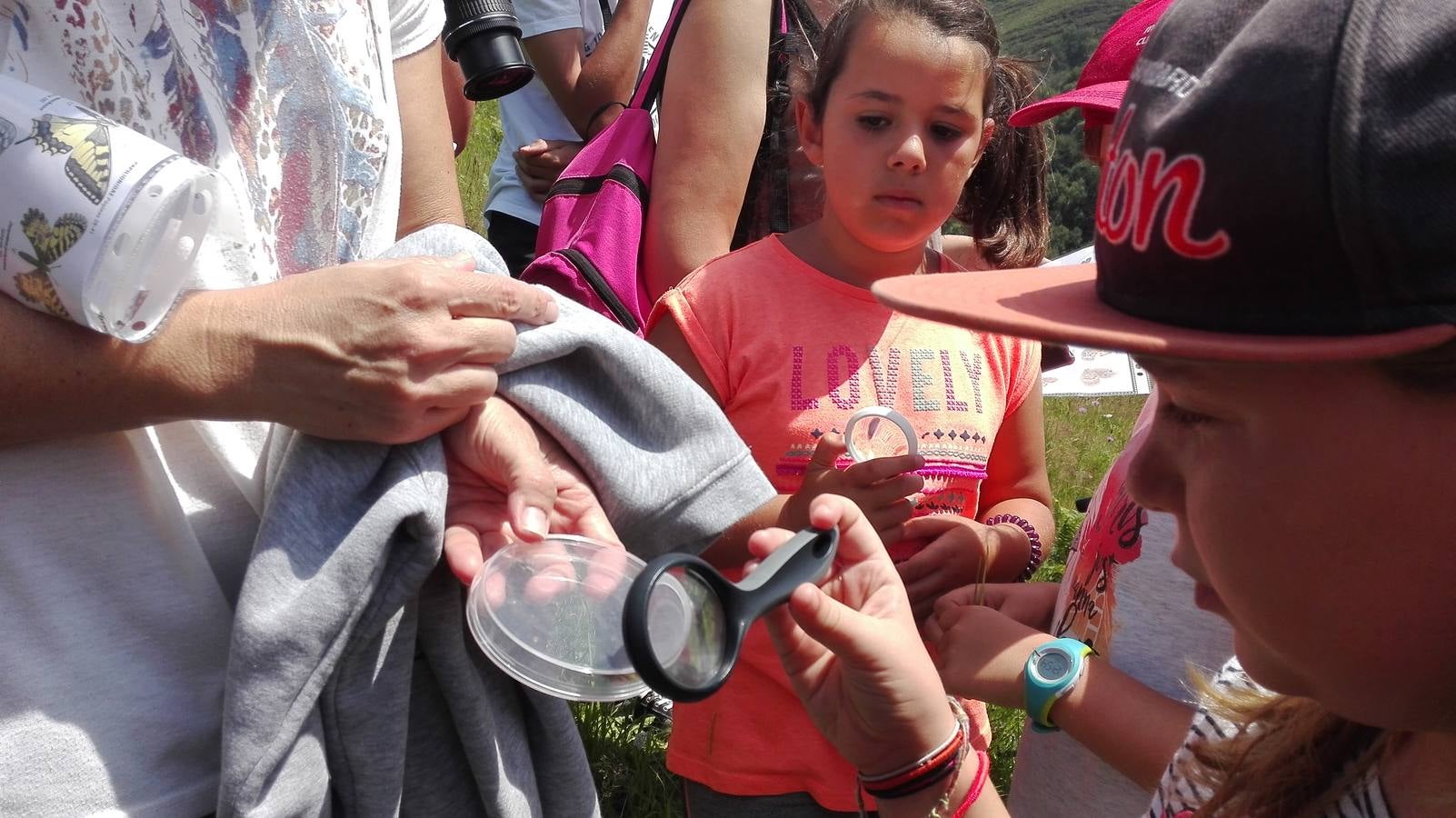 Naturea propone una gran variedad de actividades en las áreas protegidas de Cantabria, con propuestas para todo tipo de públicos y que se adaptan a cada época del año, brindando la posibilidad al visitante de conocer todas las caras de las áreas naturales. Cada una de las áreas protegidas en las que trabajamos dispone de un Centro de Interpretación de referencia desde el que se gestionan tanto itinerarios guiados, actividades de educación ambiental para escolares y trabajos de mantenimiento ambiental en la zona.