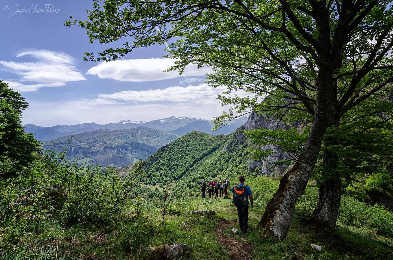 Naturea propone una gran variedad de actividades en las áreas protegidas de Cantabria, con propuestas para todo tipo de públicos y que se adaptan a cada época del año, brindando la posibilidad al visitante de conocer todas las caras de las áreas naturales. Cada una de las áreas protegidas en las que trabajamos dispone de un Centro de Interpretación de referencia desde el que se gestionan tanto itinerarios guiados, actividades de educación ambiental para escolares y trabajos de mantenimiento ambiental en la zona.