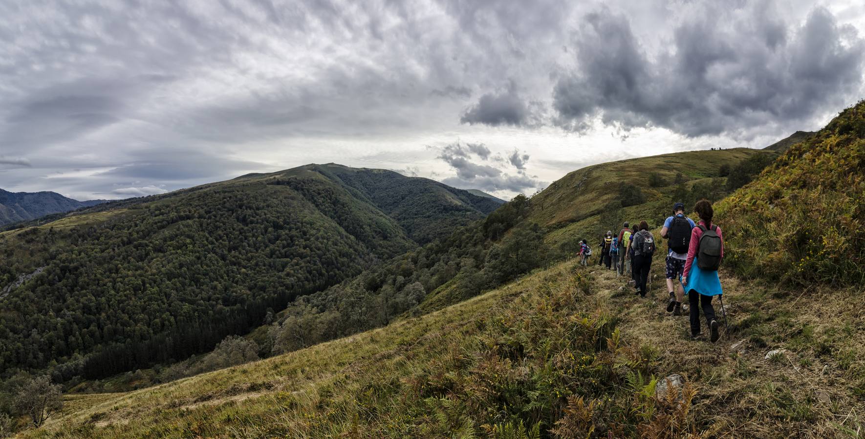 Naturea propone una gran variedad de actividades en las áreas protegidas de Cantabria, con propuestas para todo tipo de públicos y que se adaptan a cada época del año, brindando la posibilidad al visitante de conocer todas las caras de las áreas naturales. Cada una de las áreas protegidas en las que trabajamos dispone de un Centro de Interpretación de referencia desde el que se gestionan tanto itinerarios guiados, actividades de educación ambiental para escolares y trabajos de mantenimiento ambiental en la zona.