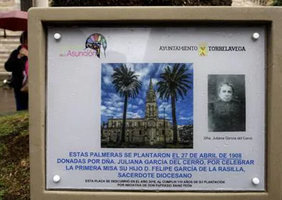Imagen secundaria 1 - Torrelavega recuerda la singular historia de las palmeras de la iglesia de la Asunción