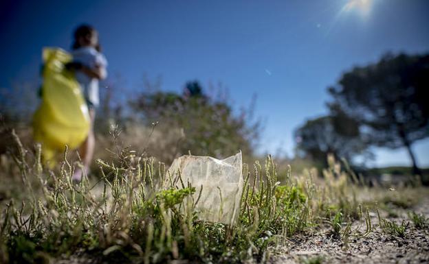 Este sábado tenemos una cita con el medio ambiente