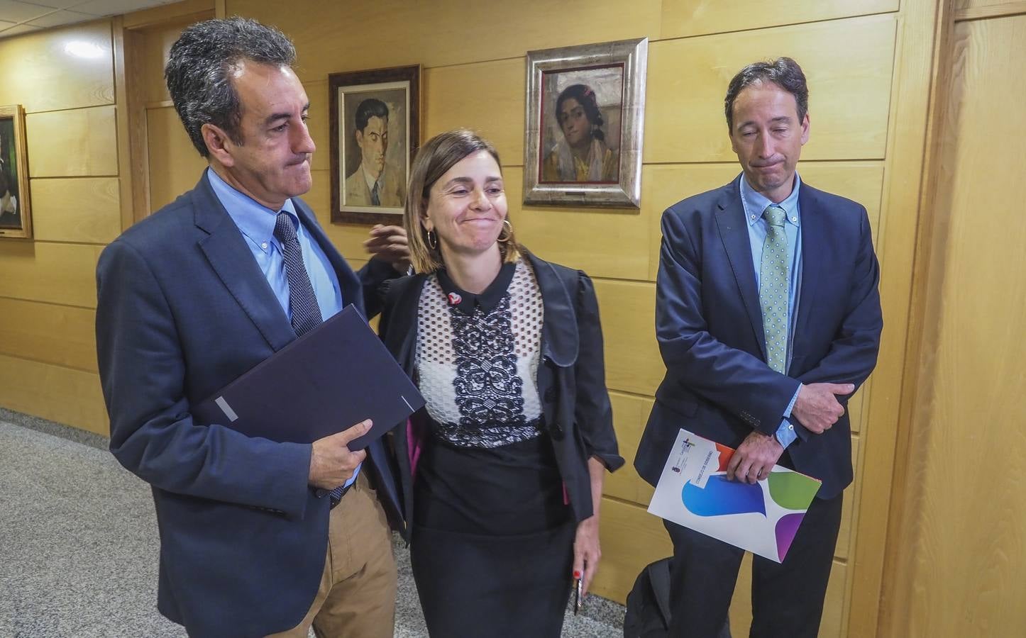 Martín, Fernández y Gochicoa antes de entrar al Consejo de Gobierno