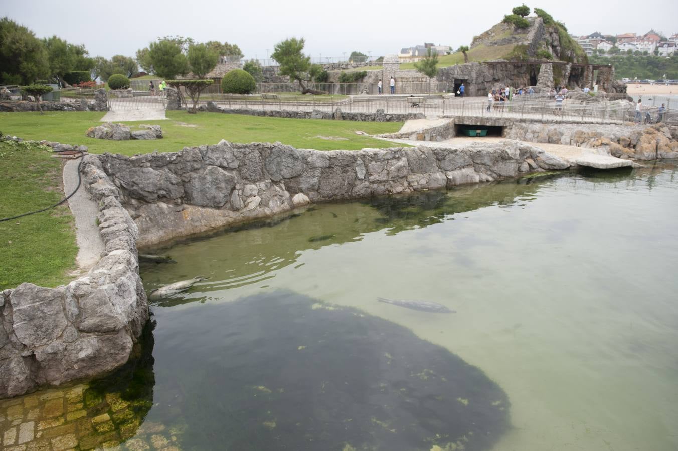 Ecologistas en Acción y Arca alertan de que la marea verde es una proliferación excesiva de algas debida a la existencia de gran cantidad de nutrientes en el medio acuático