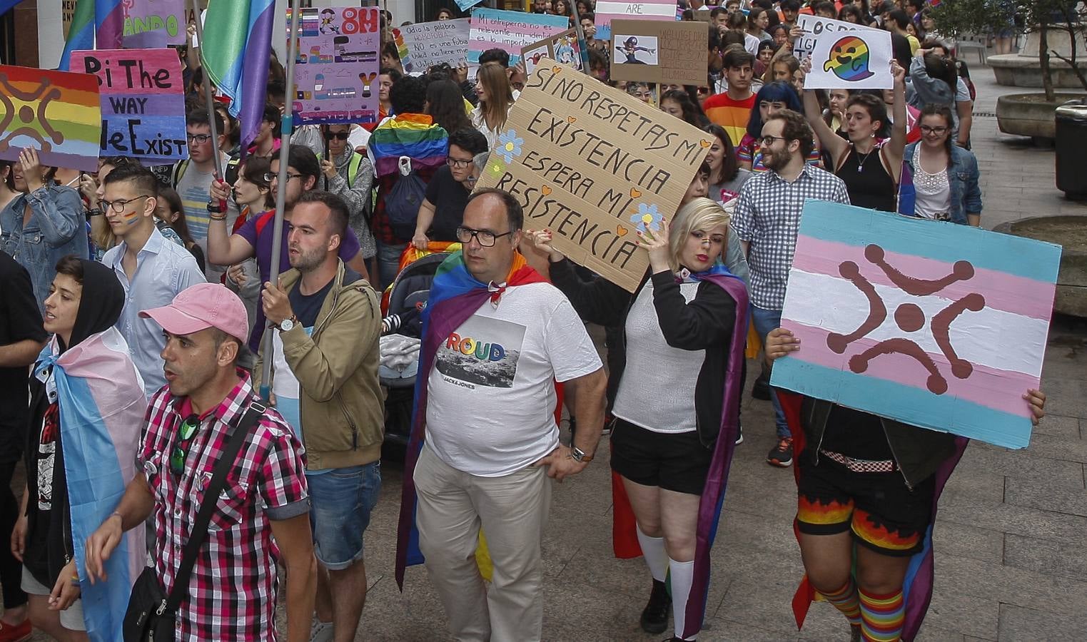 Fotos: La manifestación por el Día del Orgullo por el centro de Santander