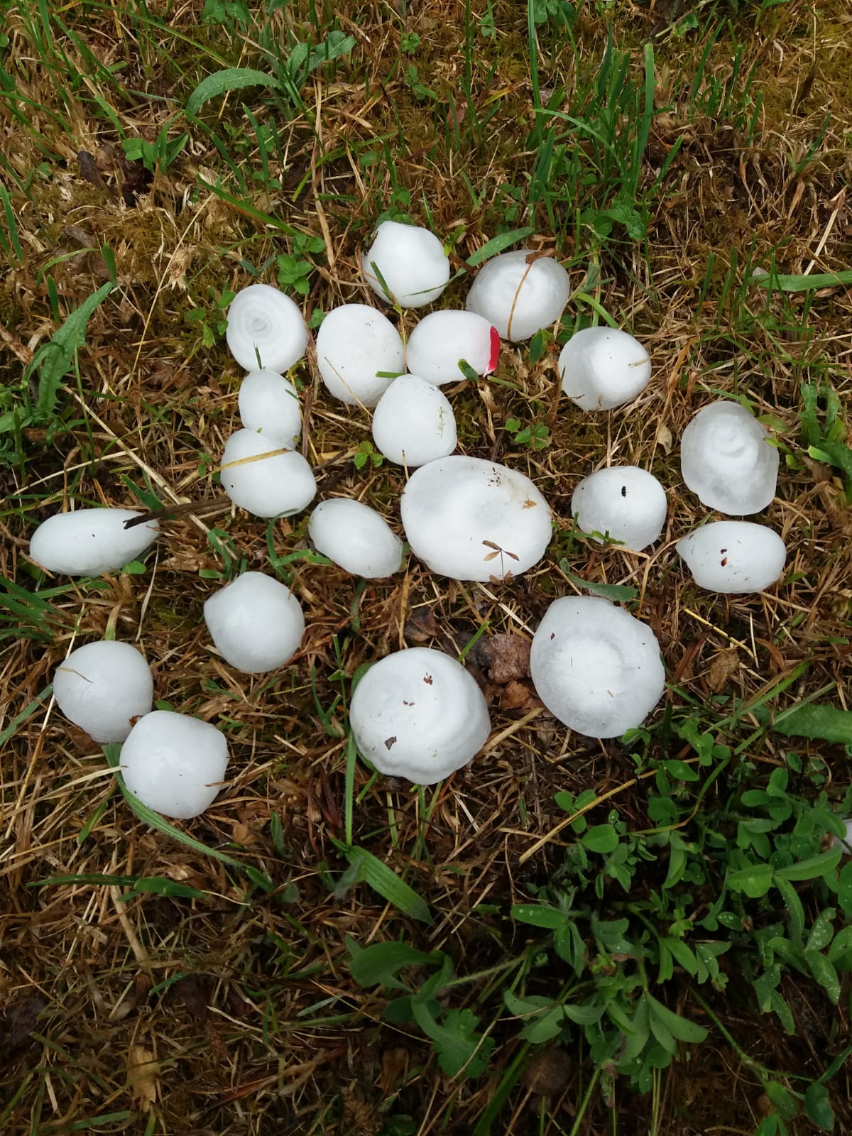 Fotos: Granizos como «pelotas de tenis» en Cabezón de la Sal