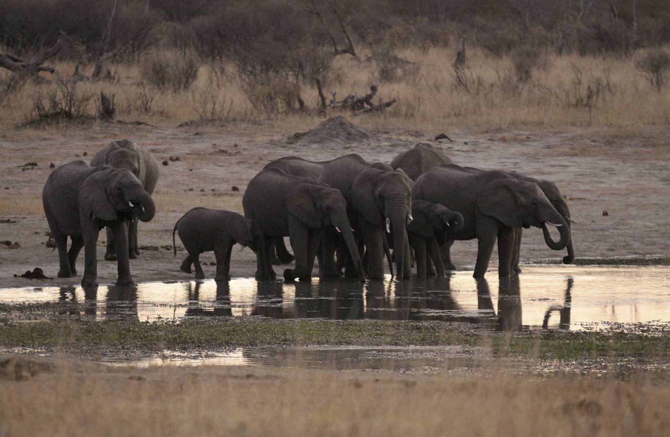 Zimbabue: se recomienda viajar con extrema precaución. El paso del ciclón tropical Idai a mediados de marzo de 2019 ha devastado zonas del este del país, y carreteras y puentes se han visto dañados, impidiendo el acceso a algunas áreas. Las condiciones del sistema público de salud se encuentran en deterioro y la atención médica sólo es adecuada para dolencias menores. Se da una muy amplia extensión del VIH-SIDA y de enfermedades de transmisión sexual.