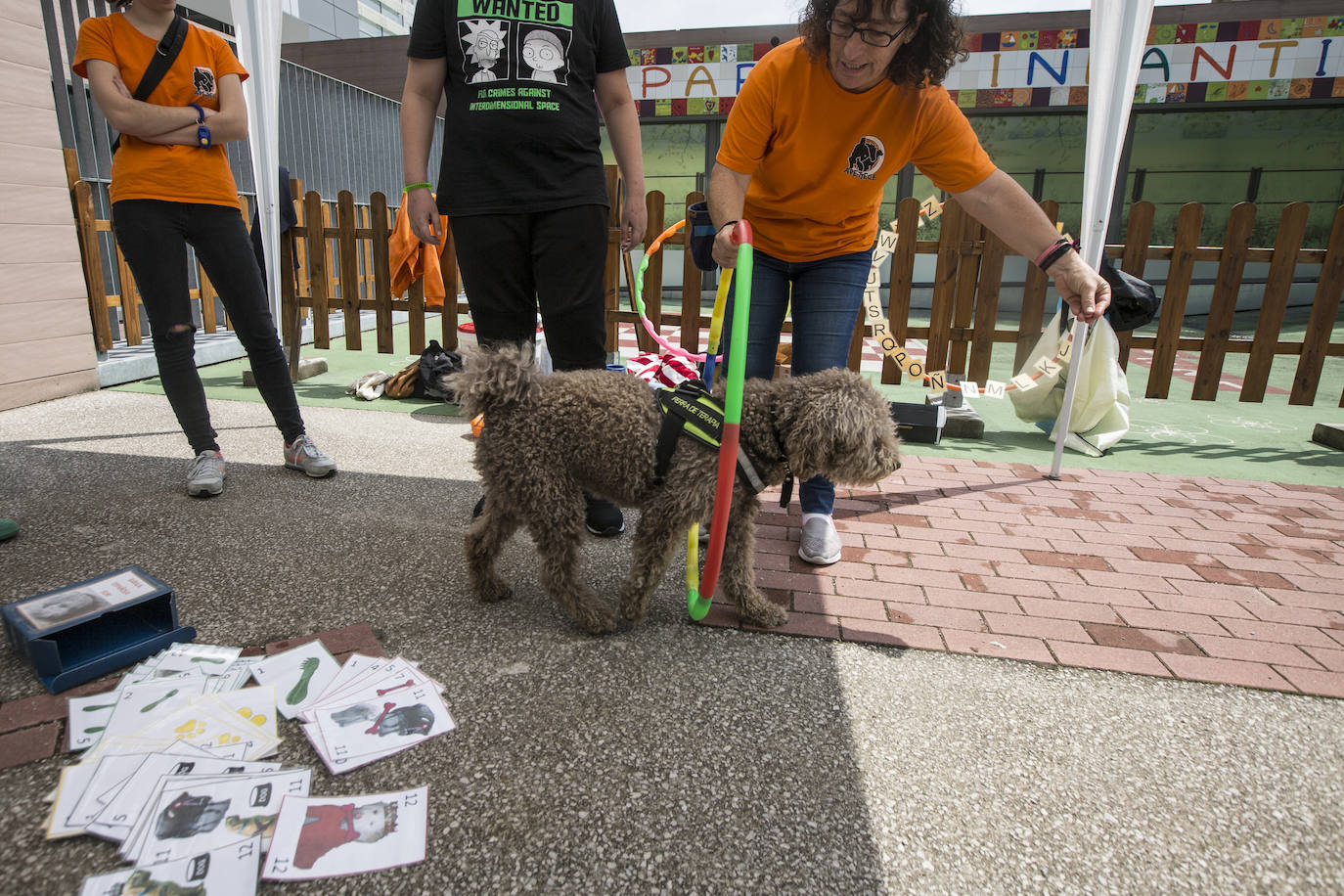 Fotos: Ayuda canina para los niños de Valdecilla