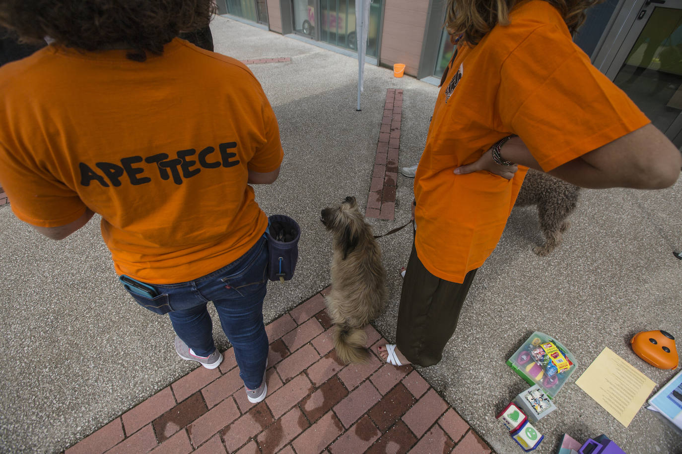 Fotos: Ayuda canina para los niños de Valdecilla