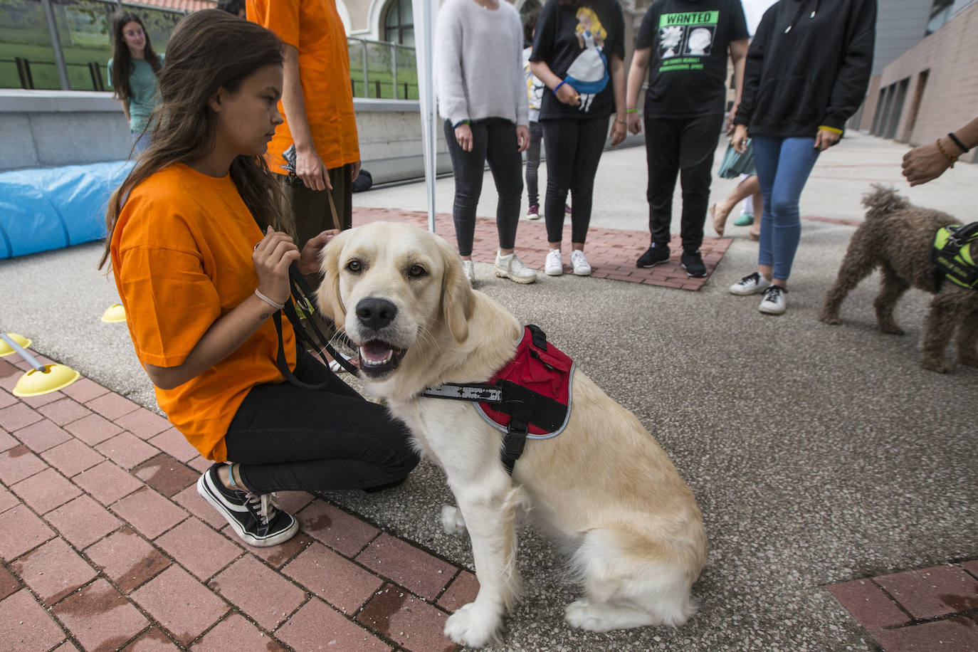 Fotos: Ayuda canina para los niños de Valdecilla