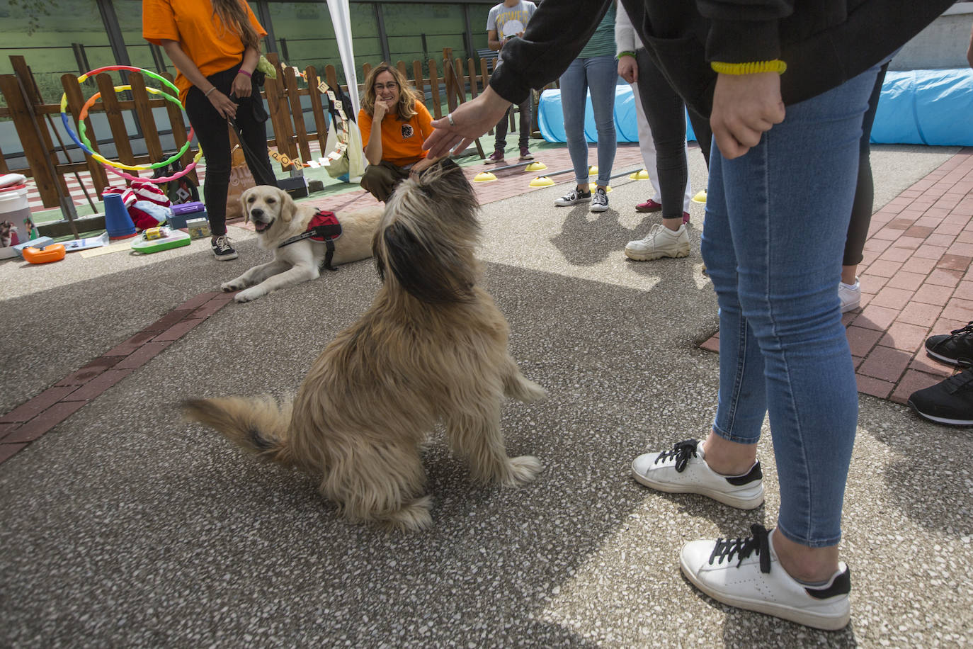 Fotos: Ayuda canina para los niños de Valdecilla