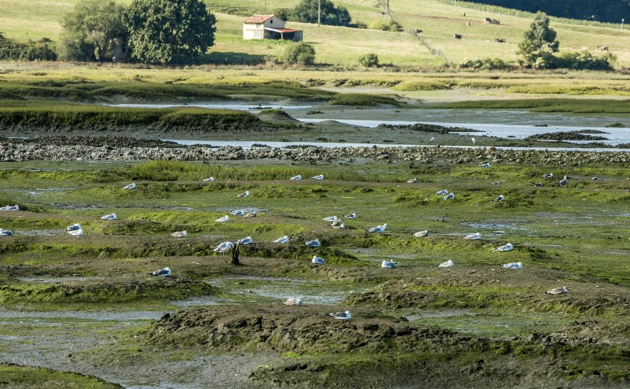 Un décalogo para proteger Cantabria