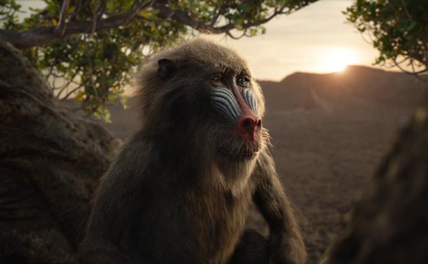 Rafiki, el sabio babuino de 'El rey león'.