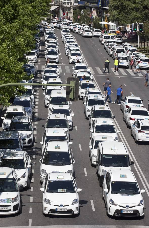 Efectivos de la Policía Local de Santander y los taxistas se han unido hoy para cortar la calle Jesús de Monasterio y paralizar el centro de la ciudad a mediodía para reclamar al Ayuntamiento que atienda sus reivindicaciones.