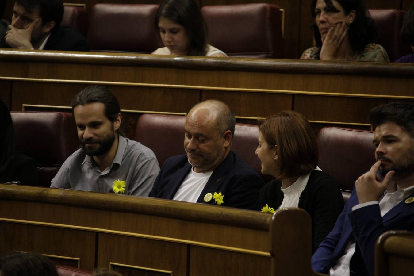 Los diputados de ERC cambian los lazo por las flores amarillas.