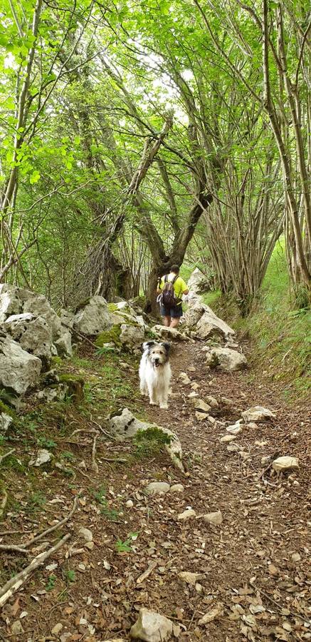 Fotos: ¿Conoces la sierra de Bejes?