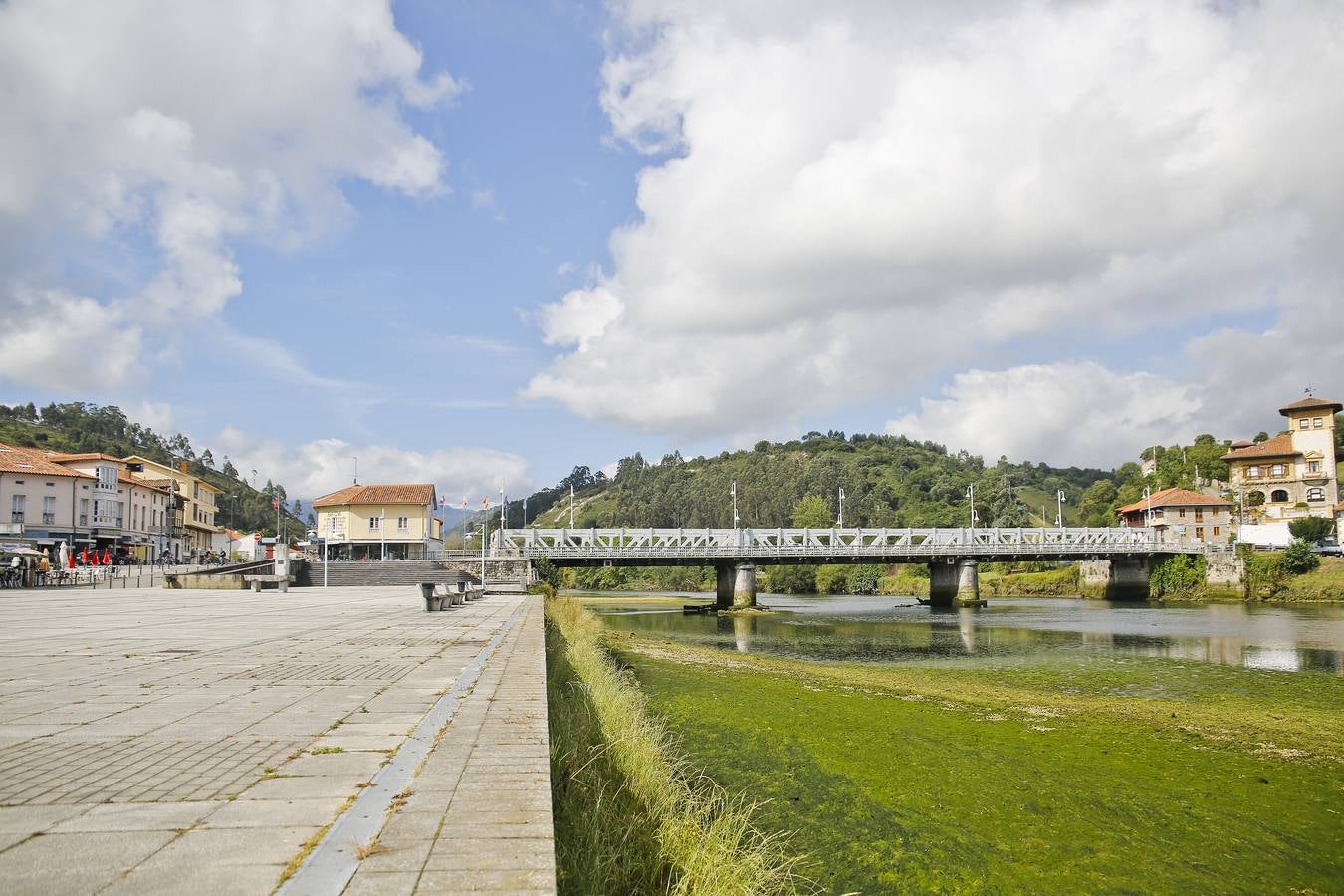 Cuando baja la marea, la ría de Tinamayor se convierte en una pradera verde.