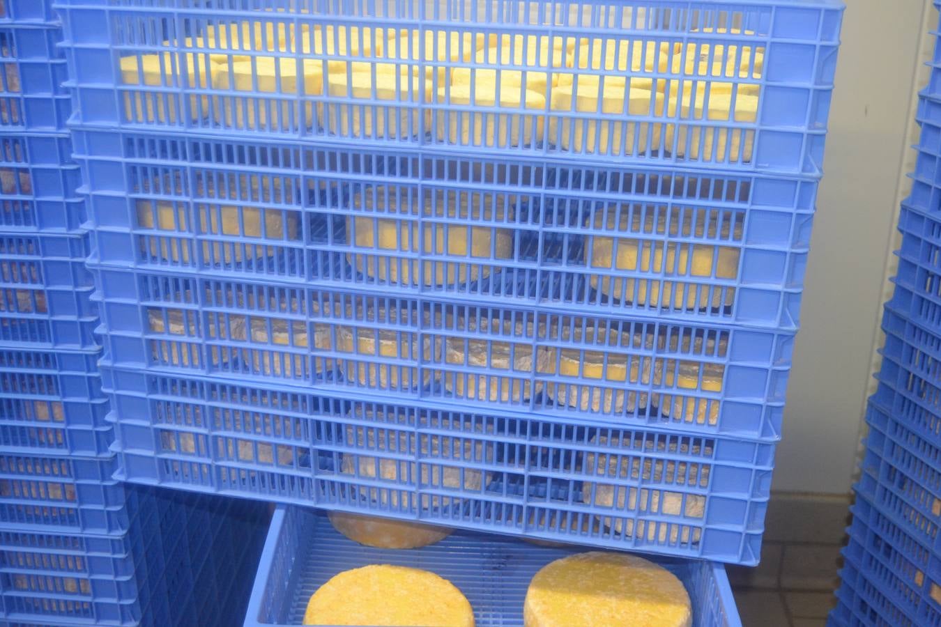 Fotos: El mejor queso de Cantabria de 2019 se elabora en Tresviso