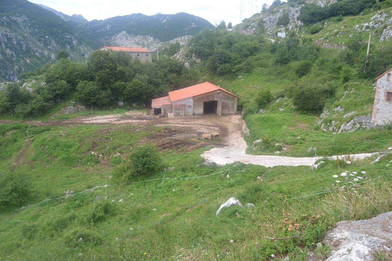 Fotos: El mejor queso de Cantabria de 2019 se elabora en Tresviso