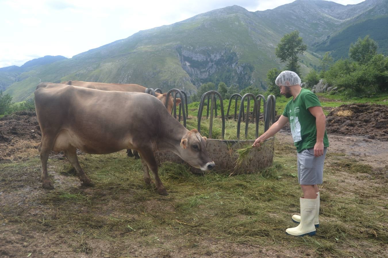 Fotos: El mejor queso de Cantabria de 2019 se elabora en Tresviso