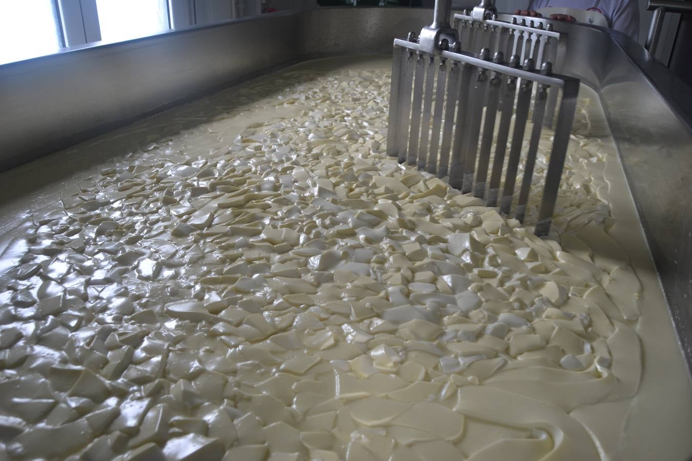 Fotos: El mejor queso de Cantabria de 2019 se elabora en Tresviso