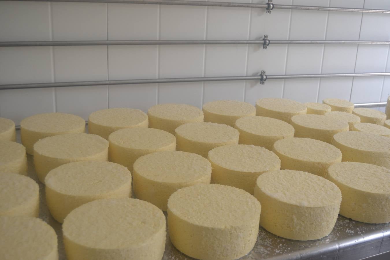Fotos: El mejor queso de Cantabria de 2019 se elabora en Tresviso