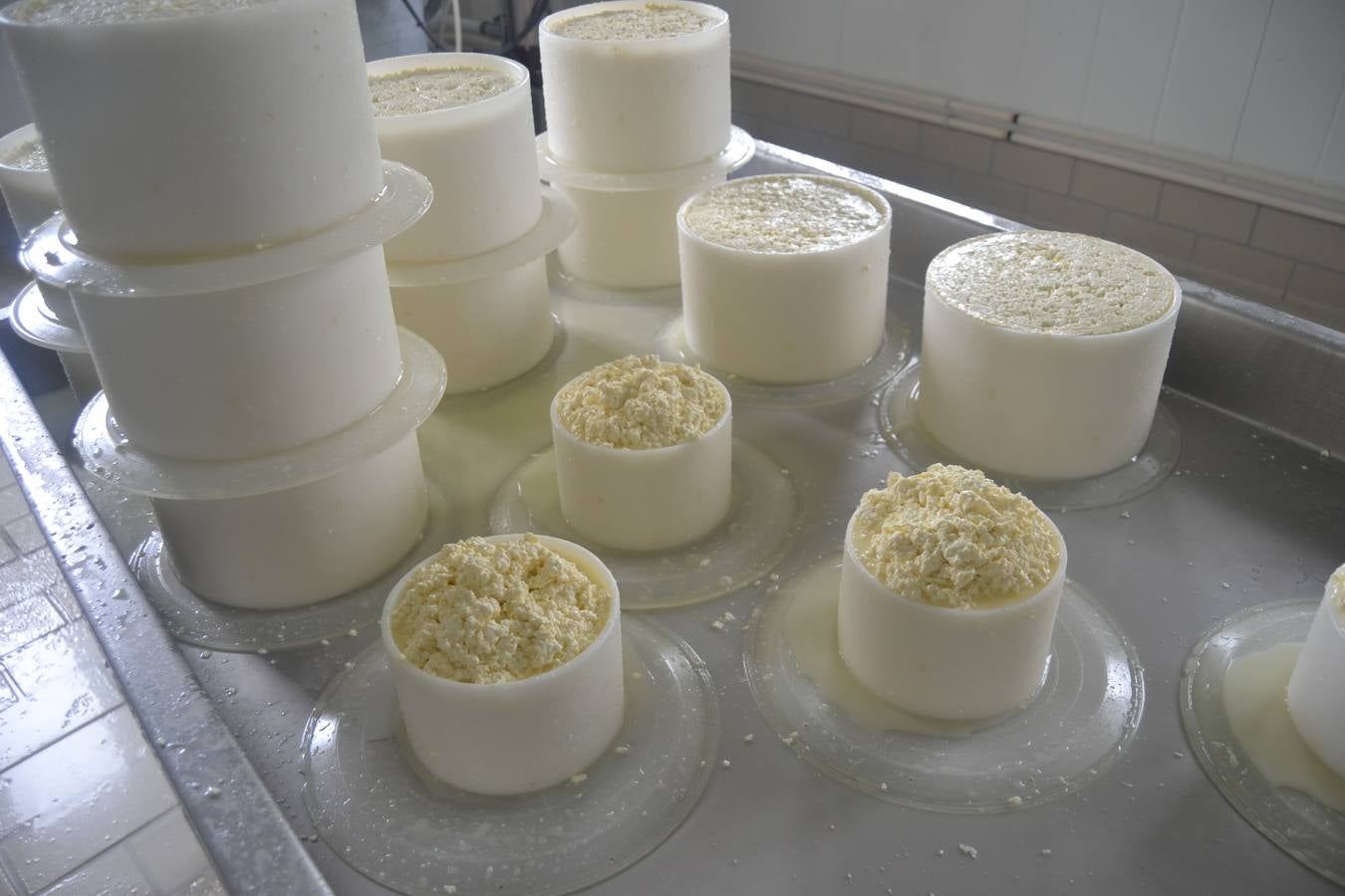 Fotos: El mejor queso de Cantabria de 2019 se elabora en Tresviso