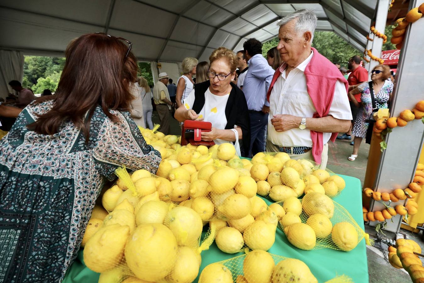 La fiesta de los Limones Solidarios celebra en el pueblo de Alfoz de Lloredo su octava edición