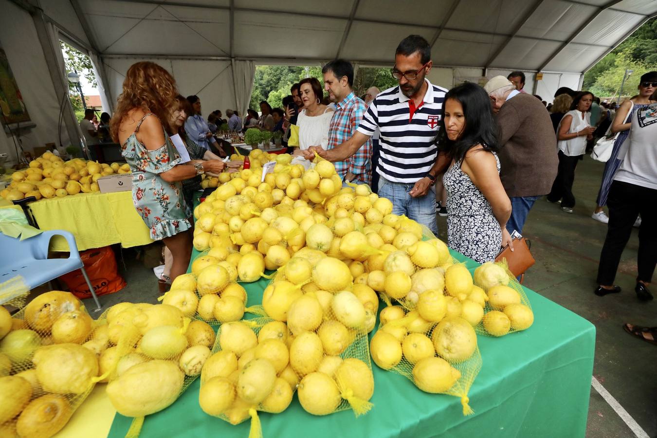 La fiesta de los Limones Solidarios celebra en el pueblo de Alfoz de Lloredo su octava edición