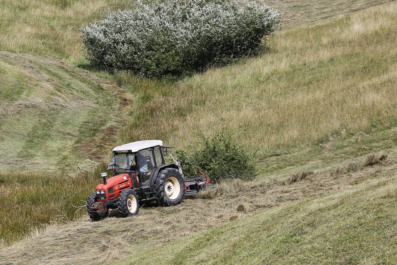 Antes de que los tractores hiciesen esta labor se necesitaban muchas manos para hacer el mismo trabajo.
