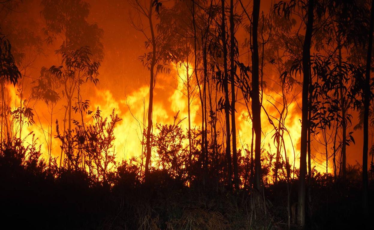 Cantabria activa el nivel 2 del operativo de lucha contra incendios en la zona Sur