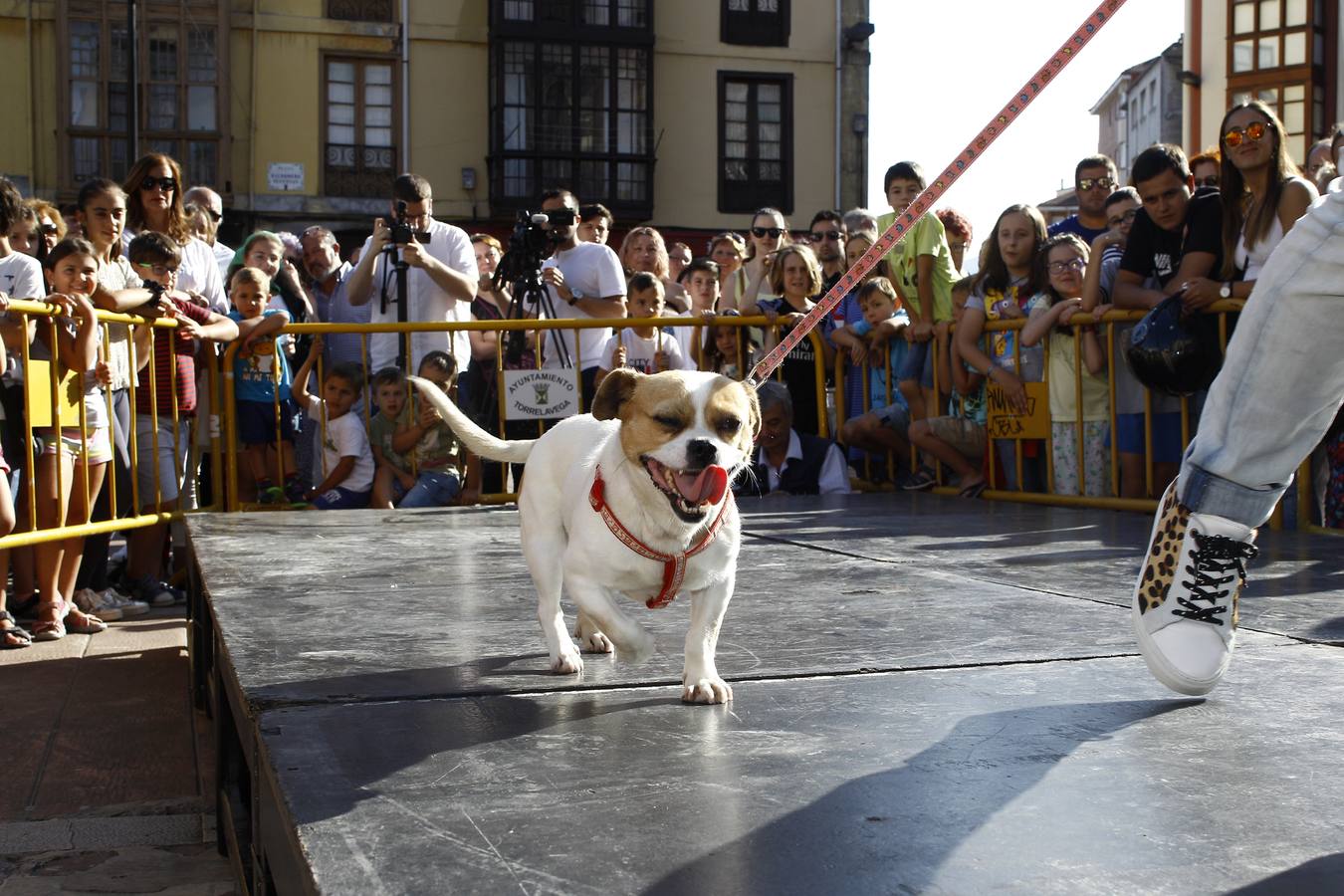 Fotos: De día y de noche, la fiesta no para en Torrelavega