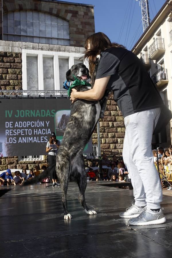 Fotos: De día y de noche, la fiesta no para en Torrelavega