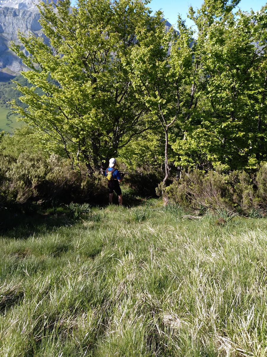 El pozo Llau y al fondo los Picos de Europa