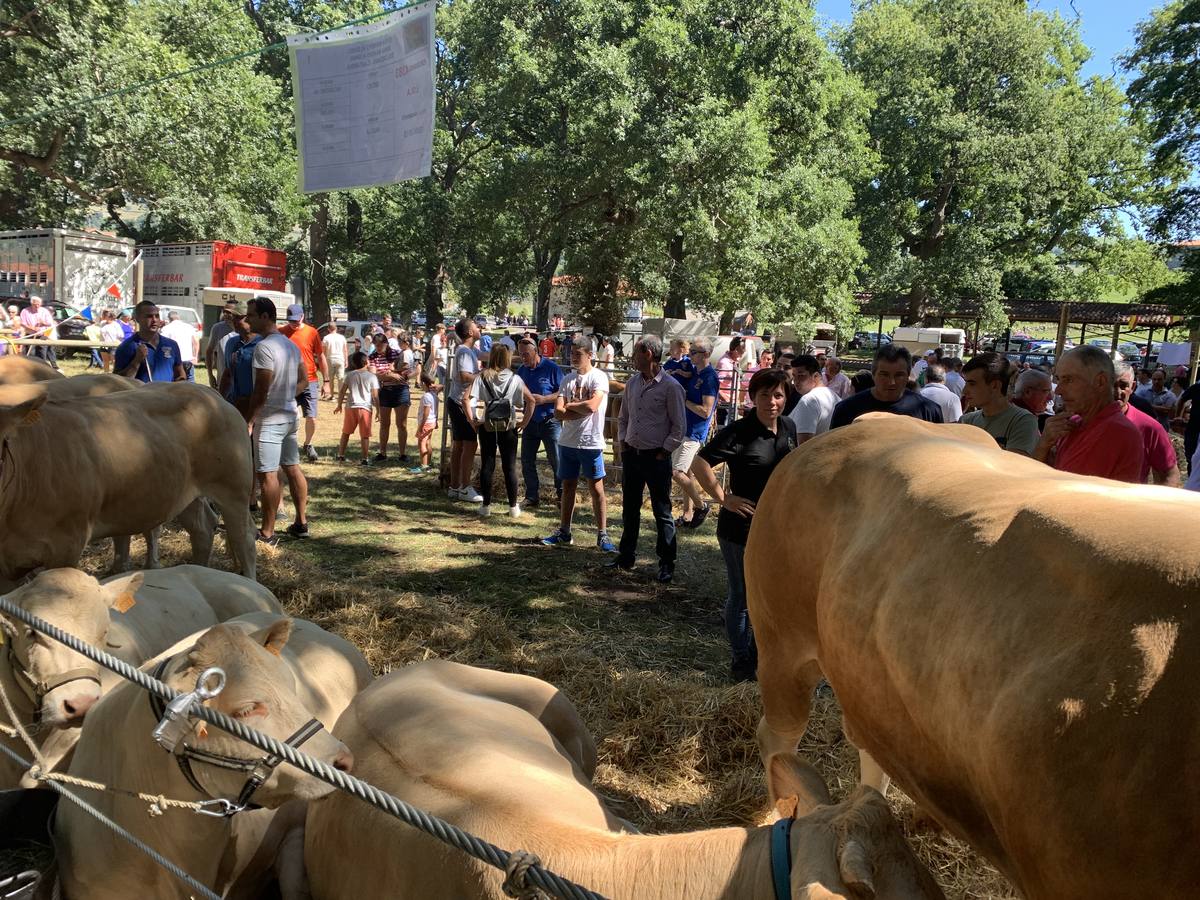 Fotos: Todos a La Gándara por el Día de Soba