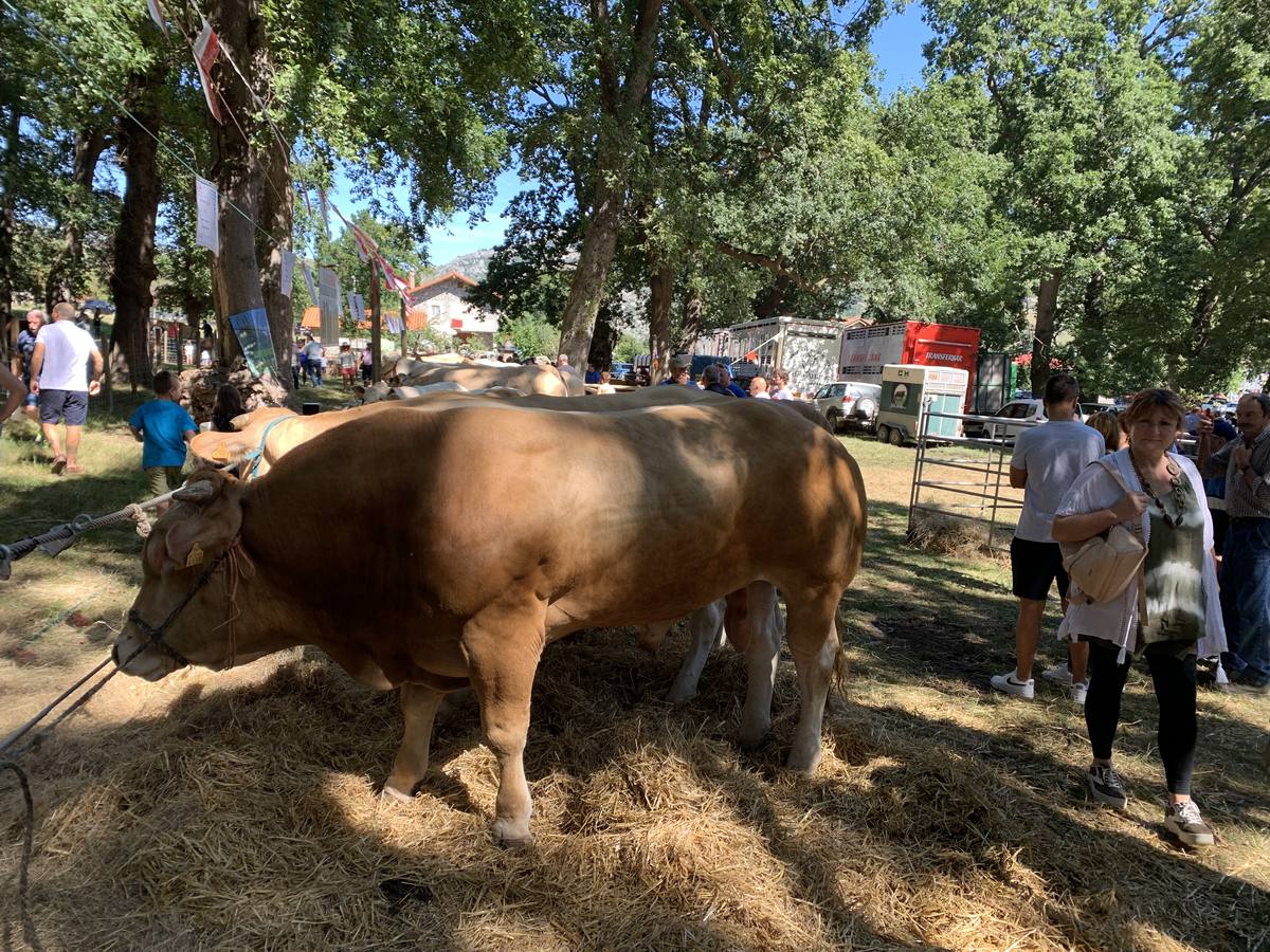 Fotos: Todos a La Gándara por el Día de Soba