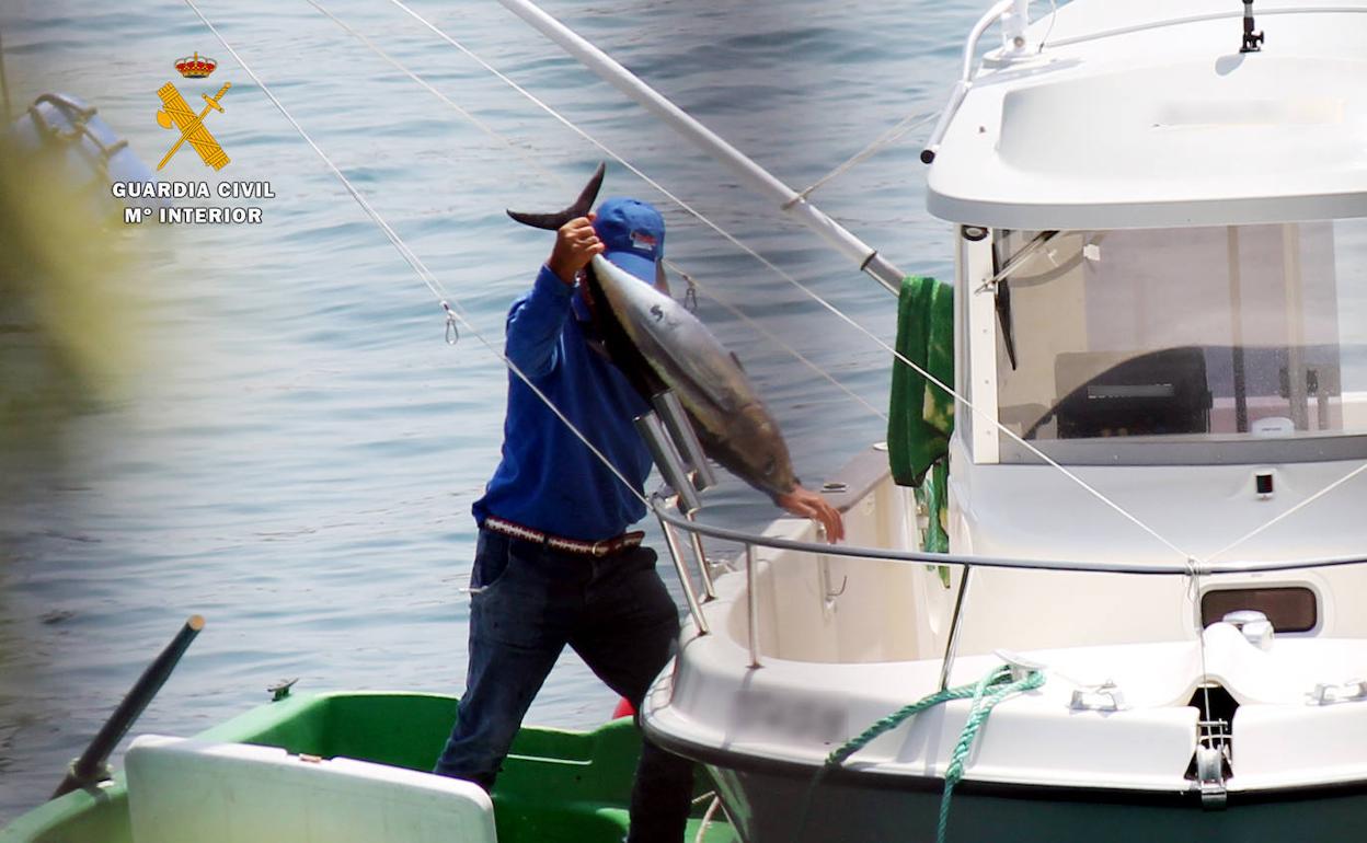 Una de las imágenes que certifican la pesca desde una embarcación de recreo. 