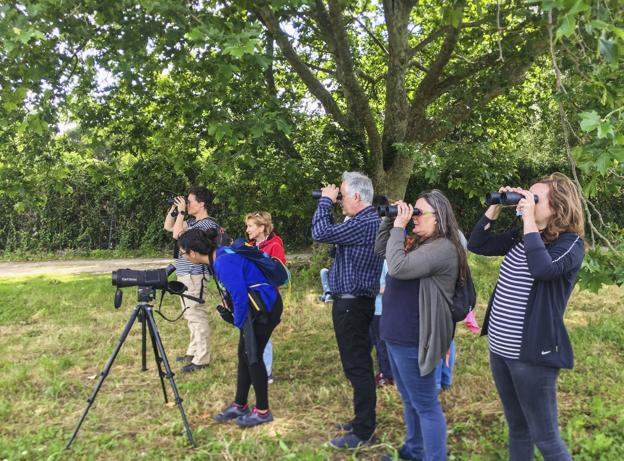 Un grupo de turistas en una de las salidas guiadas que se hacen para la observación de aves de la bahía y también su flora.