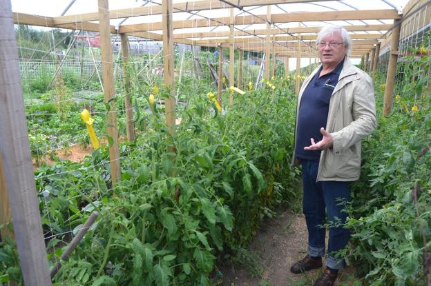 Guy muestra orgulloso su pequeña huerta bajo tejadillo. :: dm