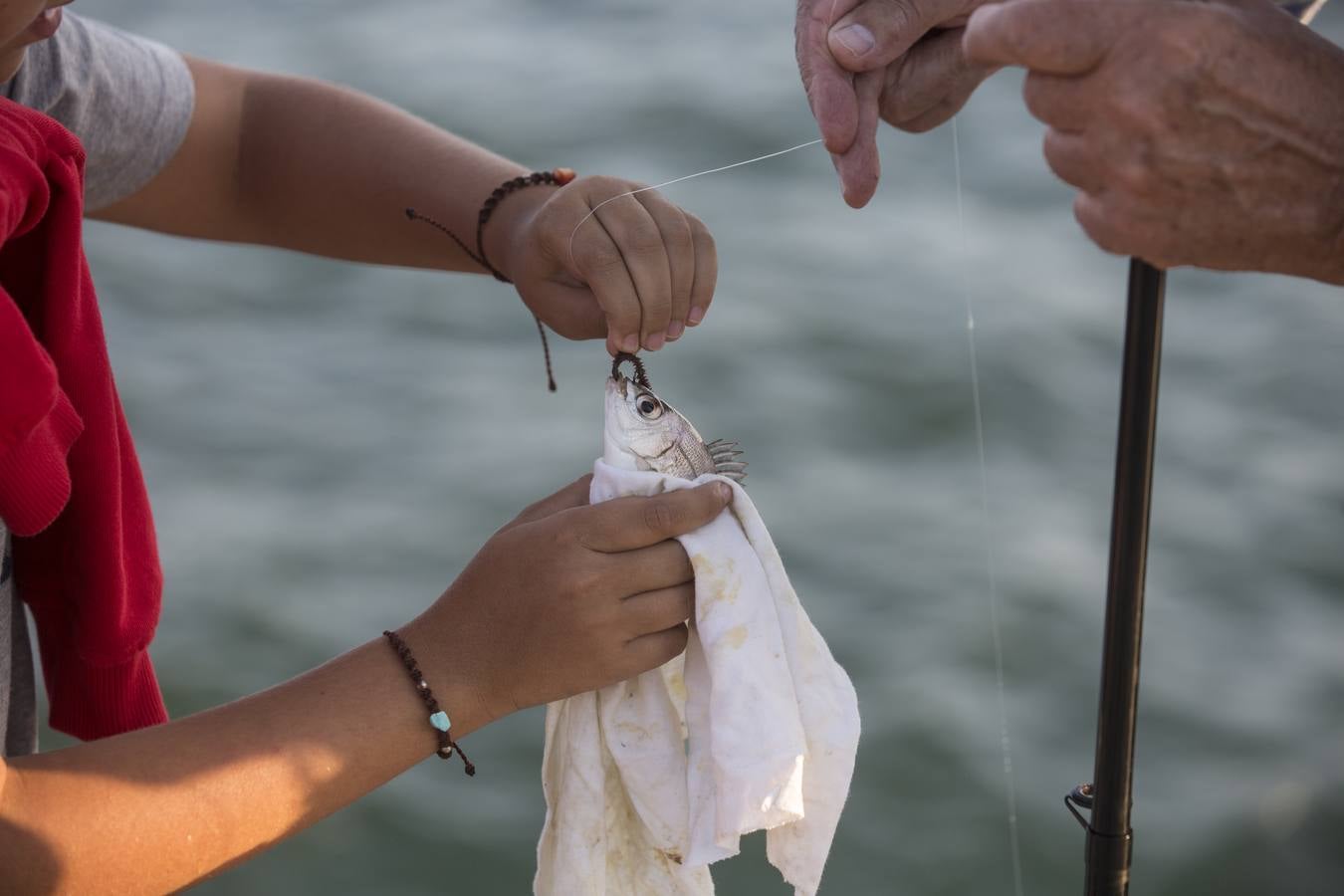Requiere paciencia y reporta tranquilidad. Eso dicen los veraneantes, vecinos de la región y visitantes que se dan cita cada tarde en el paseo marítimo de Santander.