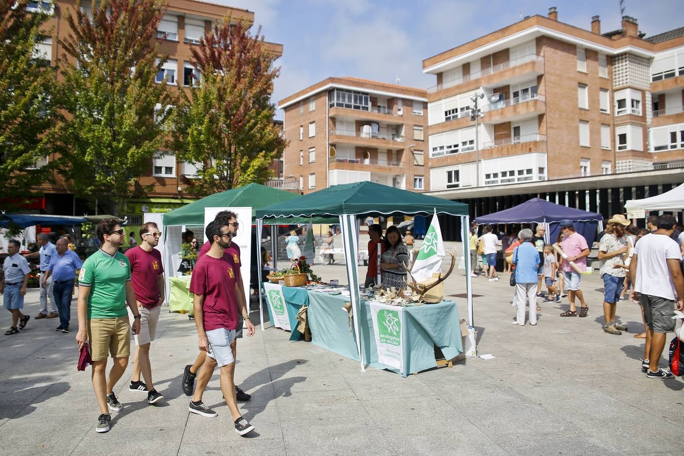 Fotos: Una vuelta por la Feria del Tomate de Bezana