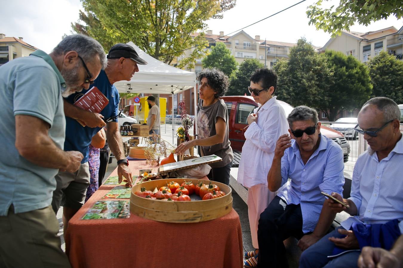 Fotos: Una vuelta por la Feria del Tomate de Bezana