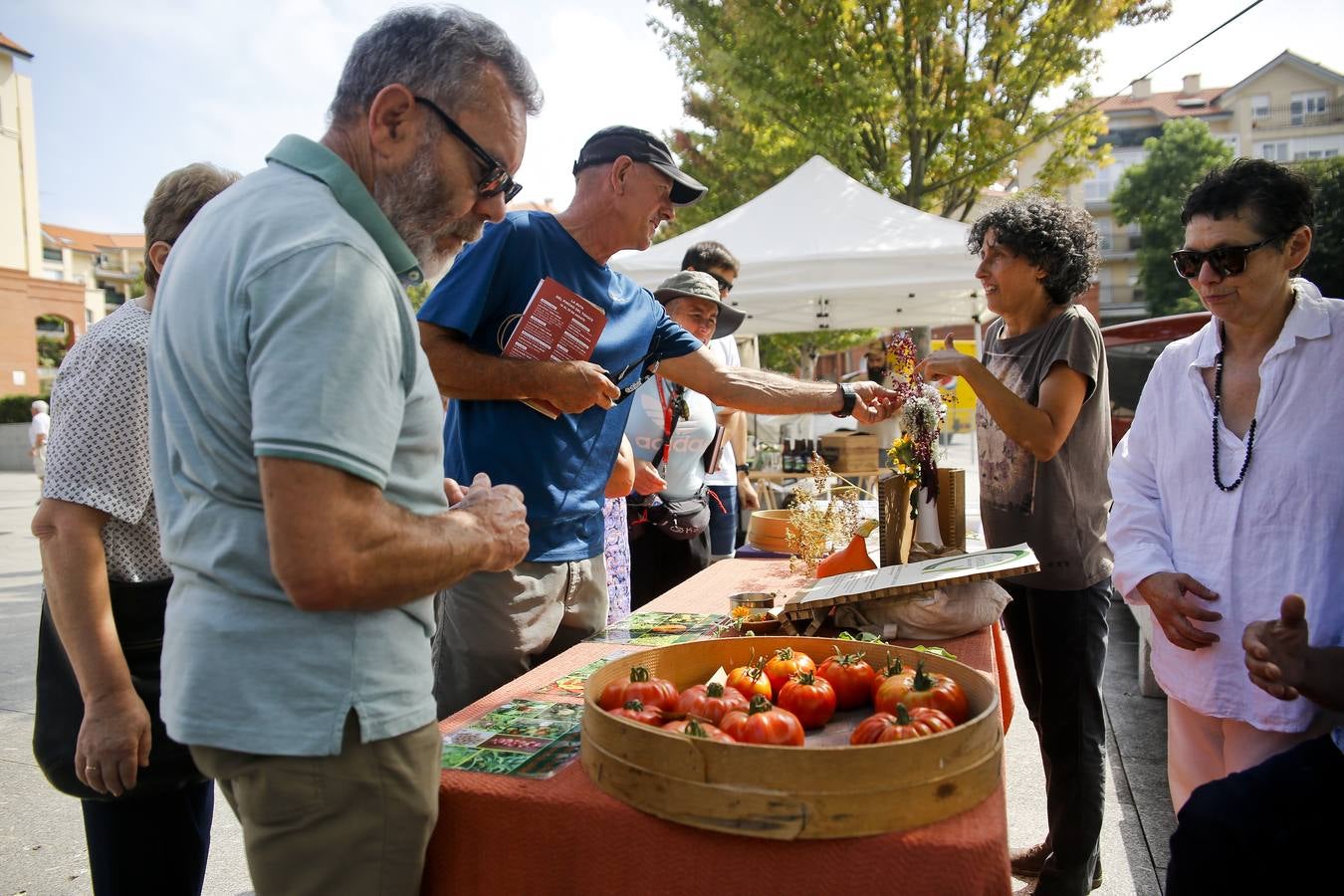 Fotos: Una vuelta por la Feria del Tomate de Bezana