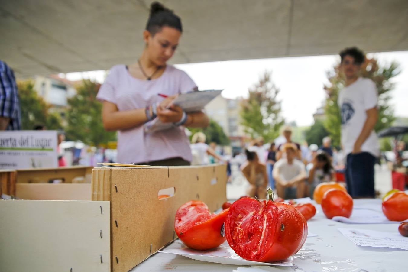 Fotos: Una vuelta por la Feria del Tomate de Bezana