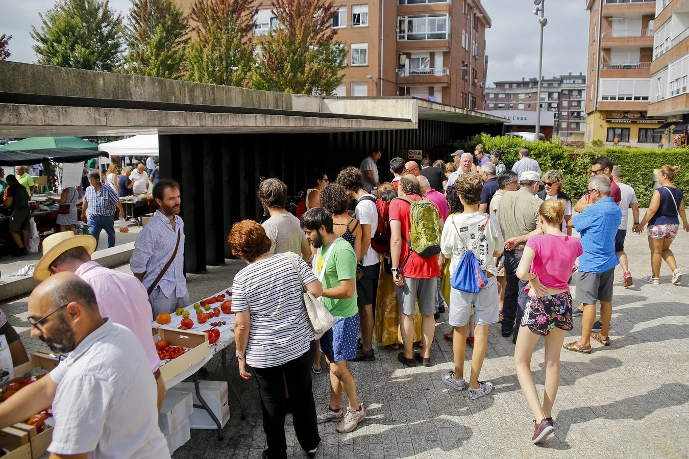 Fotos: Una vuelta por la Feria del Tomate de Bezana